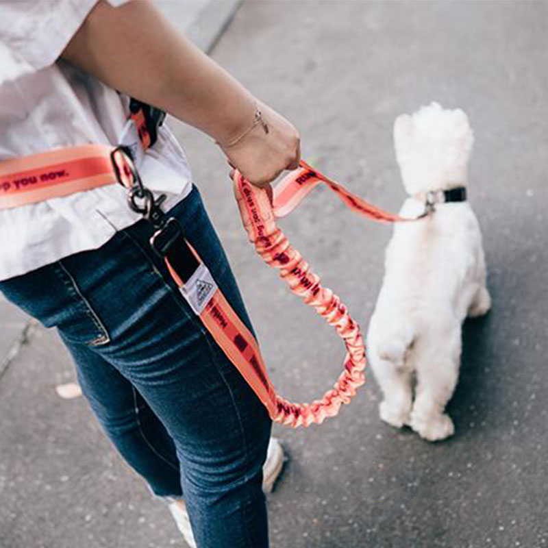 Running Jogging Gear - Guinzaglio per cani regolabile a mano