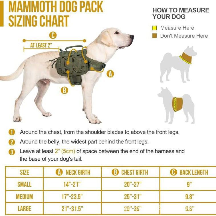 Nuovo Zaino per Cani in Nylon  - New Gear Running recensione e prezzo