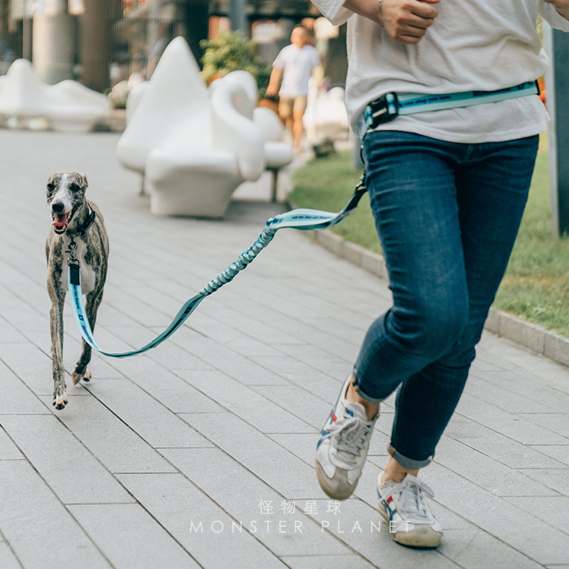 Guinzaglio per cani regolabile - Running Jogging Gear recensione e prezzo