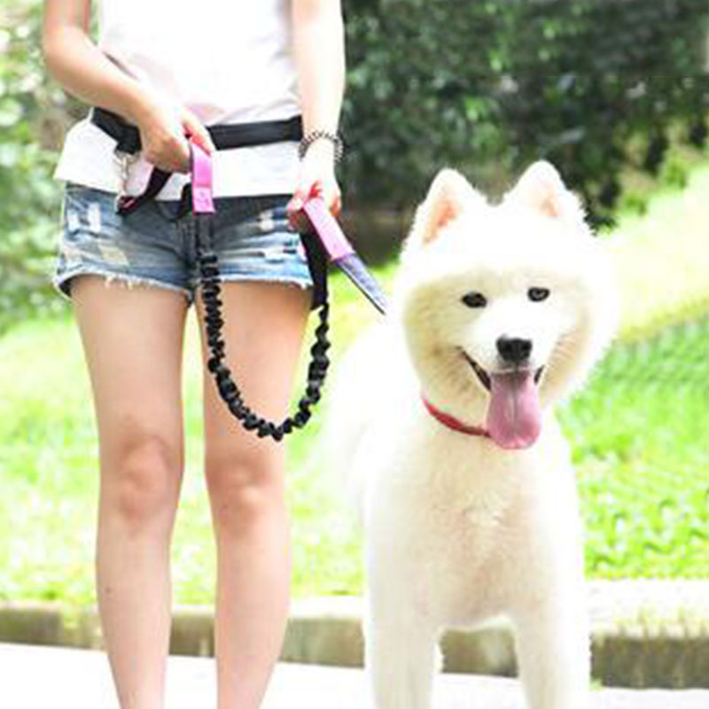 Guinzaglio per cani regolabile - Running Jogging Gear recensione e prezzo